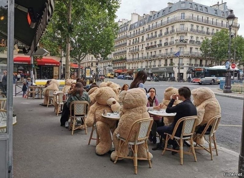 это те самые, которые вчера в Париже в кафе пьянствовали и винца много выпили?