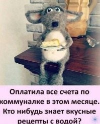 Июль – самое время платить за снег