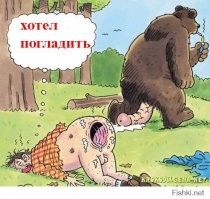 Девушка решила сфотографироваться с диким медведем и чуть не стала его обедом