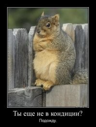 Смешные картинки