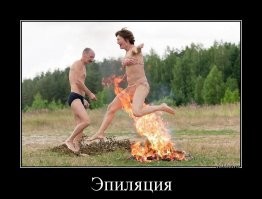 Смешные картинки