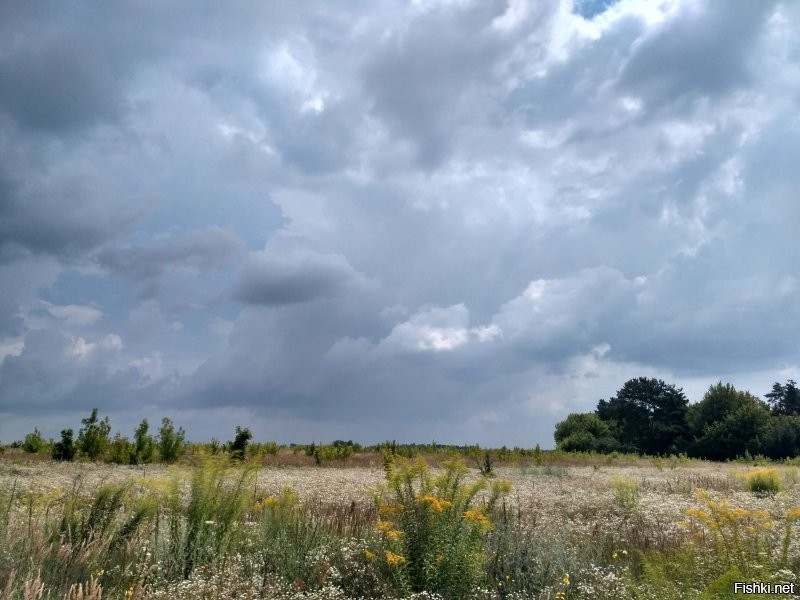 Вчера вечером