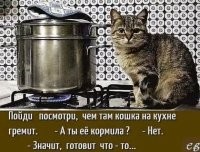 Прикольные и смешные картинки