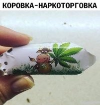 Смешные картинки