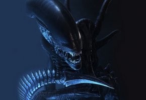 Милашка, не правда ли?