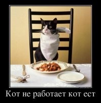 Прикольные и смешные картинки