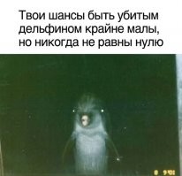 Ну, они скорее всего играются. Ведь известны лишь случаи когда дельфины выталкивают людей на поверхность, а вот когда они кого-то тянули в низ - уже некому рассказать.
Да и акул они шпыняют, чисто по тому, чтоб те держались подальше. У дельфина только один вариант поразить акулу - это с разгона дать ей своим носом в рёбра, итак как у акулы - хрящевой скелет, для ней такой удар может быть фатален. А вот если акула нападёт первая и у дельфина не будет места и пространства для манёвра, тогда дельфину - кранты. Поэтому, завидев акулу, дельфины чаще всего упредительно наносят удар, ибо не только за себя переживают, но и за своё потомство (акула взрослого дельфина избегает с большего, а вот мелкого дельфинёночка может и схавать). 
Люди на этом поле боя, не более чем случайные свидетели, и если человеку кажется что дельфин за него впрягся, то с вероятностью 99%, не будь там человека, дельфин бы всё равно бы атаковал акулу. 
А насчёт работы мозга во ввремя сна, так  это у всех млекопитающих за норму. У нас ведь тоже порой, пока мы спим - одна половина мозга выдумывает лихой закрученный сюжет и показывает второй половине, а та  этим сюжетом искренне восхищается. Проснувшись мы думаем - "Вот это был сон!"