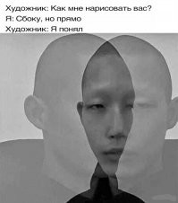 Фотограф запечатлел двух зебр, и люди не могут понять, какая из них смотрит в камеру