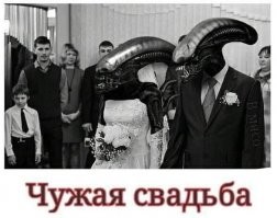 15 интересных фактов о фильме «Чужие»