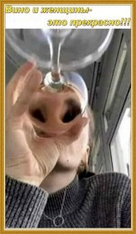 17 смешных фото, которые выглядят эпично благодаря искажению