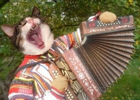 Сколько будет 7+5?