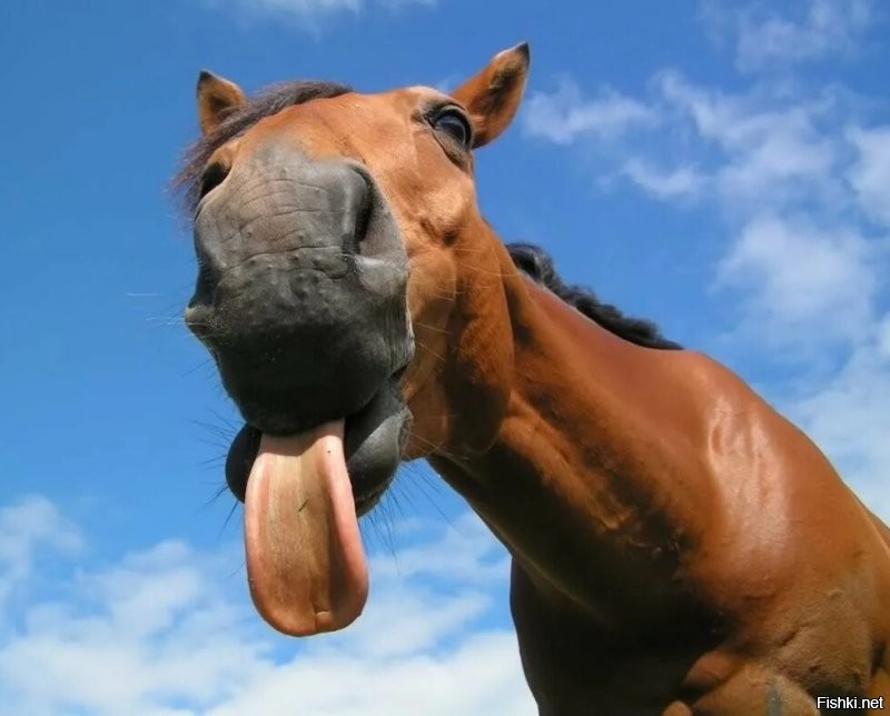 Солянка от 13.07.2020