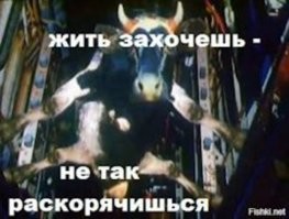 похож