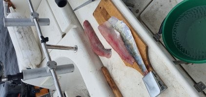 Я в восторге.