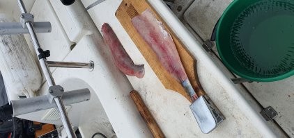 Я в восторге.