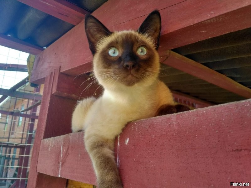 Солянка от 13.07.2020