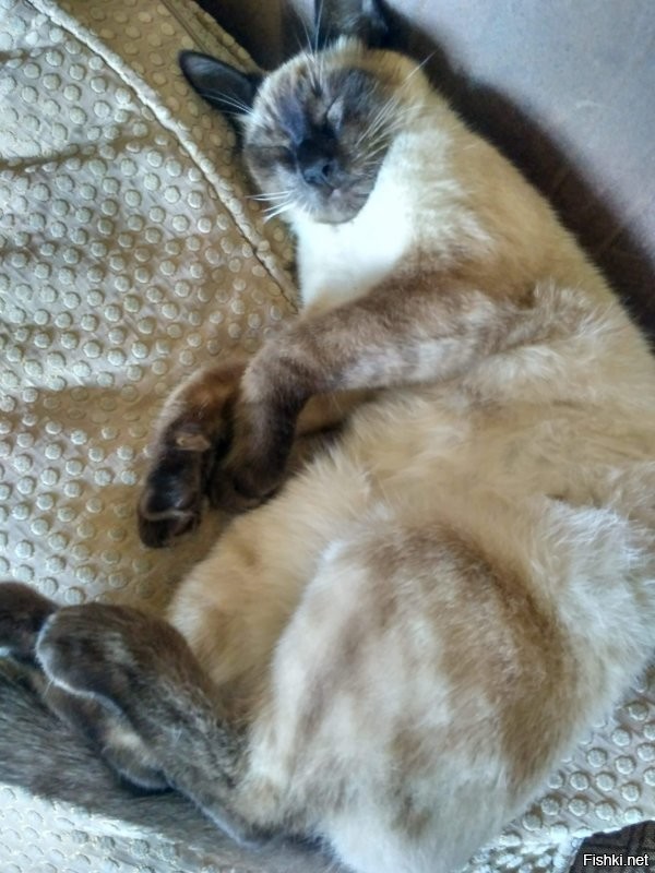 Солянка от 13.07.2020