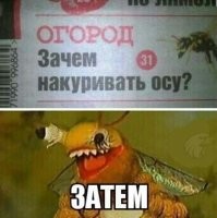 Картинки с надписями
