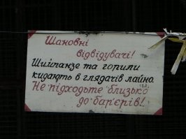 Не ищите здесь смысл. Здесь в основном маразм