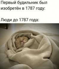 Прикольные и смешные картинки