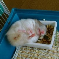 А моему и здесь хорошо))