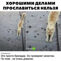 оставь свой след. Камелот