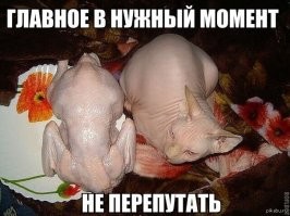 Именно.