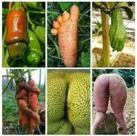 Сексапильный дайкон, который вызывает здоровый смех и здоровый аппетит