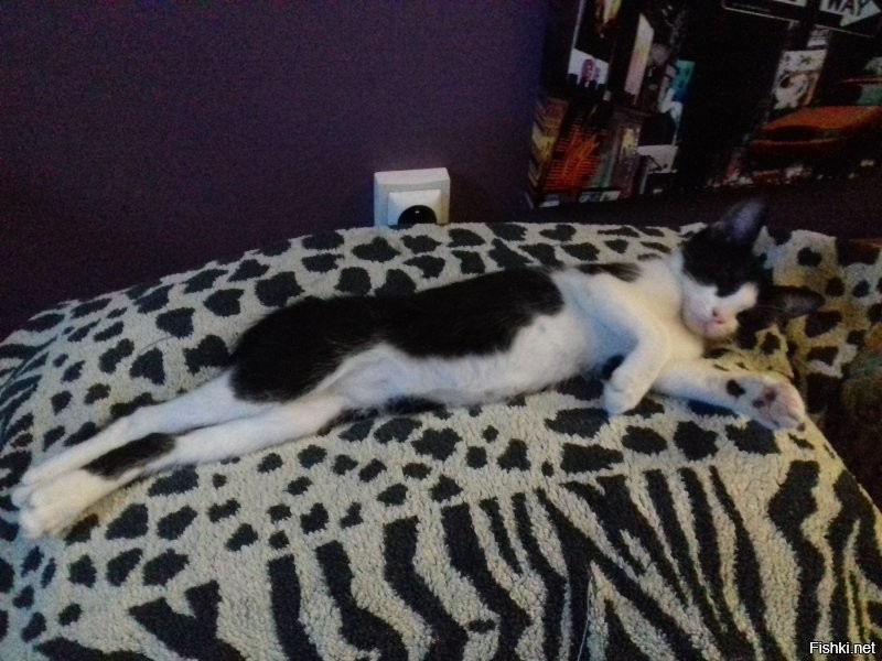 Солянка от 13.07.2020