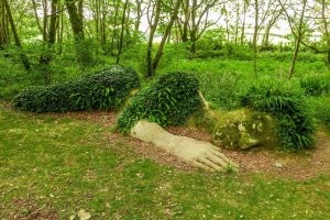 Качество фото в посте потрясло )))))