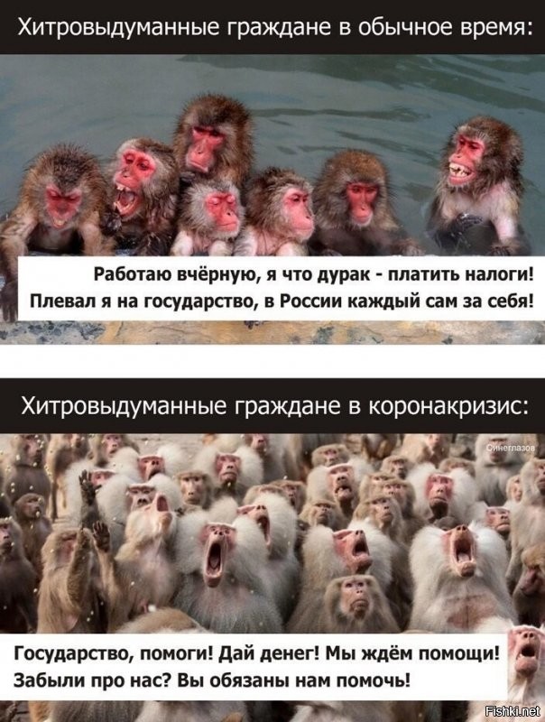 Нет так то все правильно ,налоги платить надо.Но зачастую серая зарплата и неуплата налогов не от хитрости а от безысходности ибо другой работы в селе или небольшом городе нет. Хотя и на 100% соответствующие  картинке индивидуумы есть .