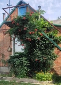 Да вот так скопилось.