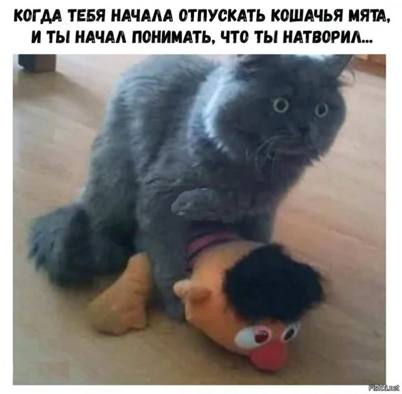 Солянка от 14.07.2020