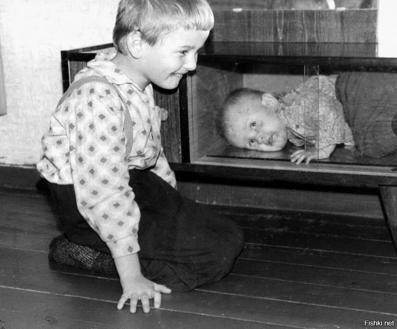 Теплое черно-белое-продолжение