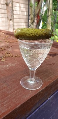 Смешные картинки