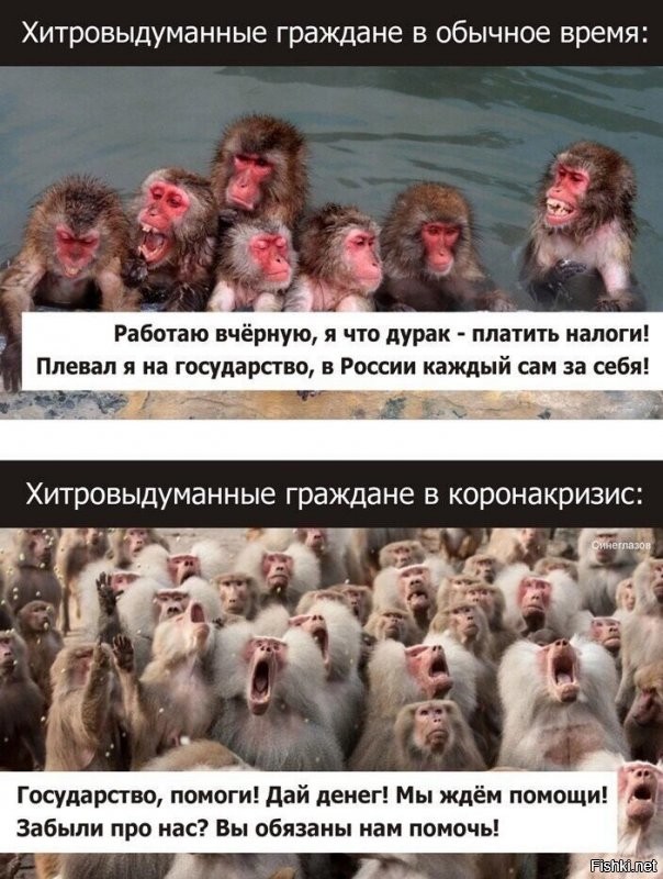 т.е хитровыдуманые? кто от власти получил кроме школьного образования? медицину? так к бесплатной подойти страшно, полицию - так жулики решали вопросы проще и дешевле, жаль их не стало? мы платим налоги с каждой покупки за все за дороги, НДС и прочее, а взамен то что получили? не ну хоть бармалеев пока сильно не пускают - у нас пока видать и своих достаточно...