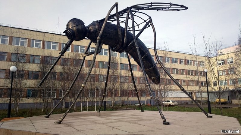 Солянка от 14.07.2020