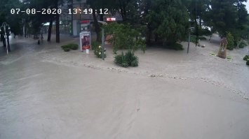 Накаркала шлюха!
