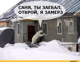 Намешалось