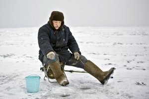 Комары нужны только для двух вещей