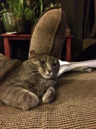 Святой кОТЕЦ .