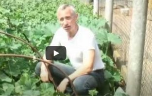 Первая причина-это ты и и то место ,где побывали огурцы...