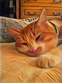 20 грозных котиков, которые не упустят шанса продемонстрировать свои когти