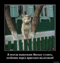 Прикольные и смешные картинки