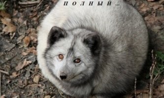 с нашей работы он и не уходил никуда.....
