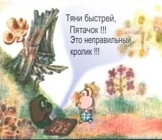 Намешалось