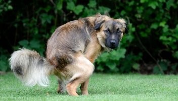 Блогер показала 30 секретов о том, как лучше получаться на фотографиях