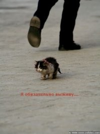 Оригинал...