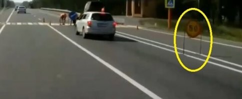Водила канешн слепошарый, нр и работягам огораживаться надобно лучше!