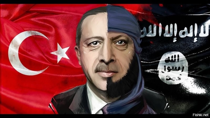 Не выйдет султан из Эрдогана: ЛАГ защитит Ливию и ее ресурсы от Анкары
